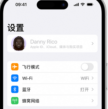 西充appleID维修服务iPhone设置中Apple ID显示为灰色无法使用 