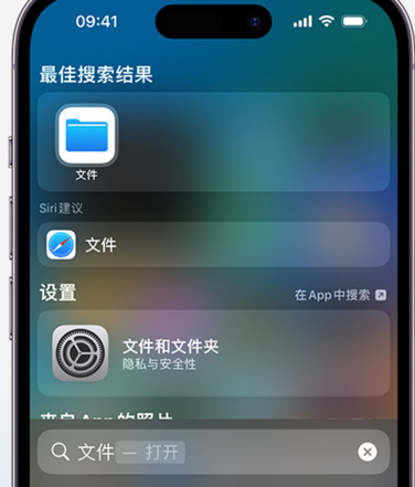 西充apple维修中心分享iPhone文件应用中存储和找到下载文件 