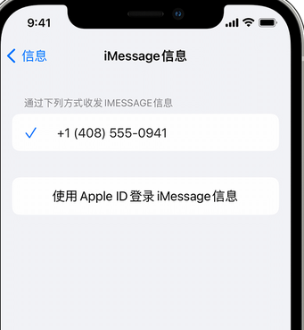 西充apple维修iPhone上无法正常发送iMessage信息 