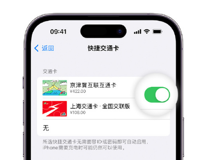 西充apple维修点分享iPhone上更换Apple Pay快捷交通卡手绘卡面 