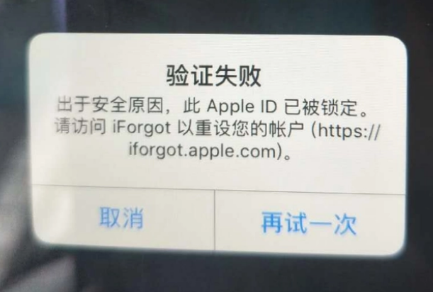 西充iPhone维修分享iPhone上正常登录或使用AppleID怎么办 