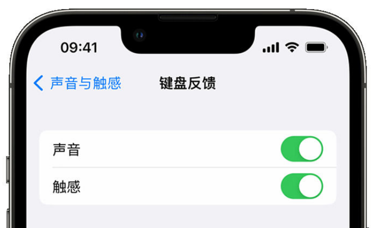 西充苹果手机维修分享iPhone 14触感键盘使用方法 