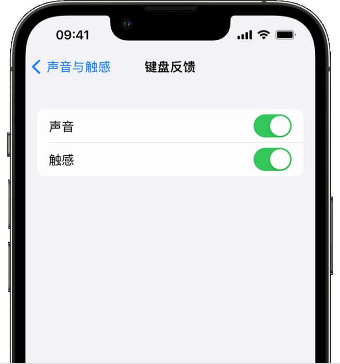 西充苹果14维修店分享如何在 iPhone 14 机型中使用触感键盘 