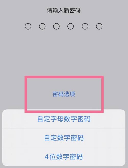 西充苹果14维修分享iPhone 14plus设置密码的方法 