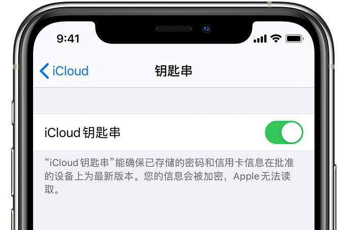 西充苹果手机维修分享在 iPhone 上开启 iCloud 钥匙串之后会储存哪些信息 