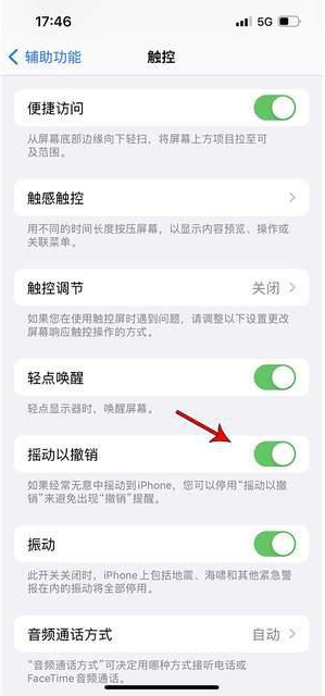 西充苹果手机维修分享iPhone手机如何设置摇一摇删除文字 