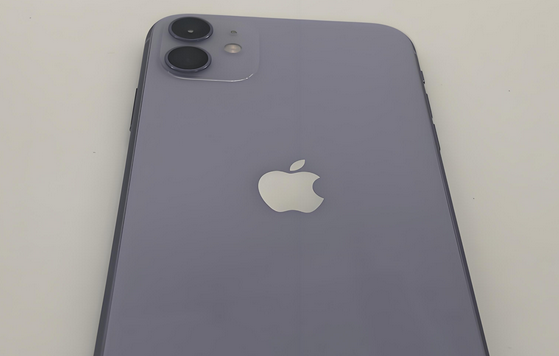 西充苹果11系统维修分享iPhone11手机系统崩溃无法开机如何解决